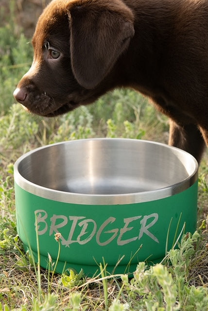 Dog Bowls