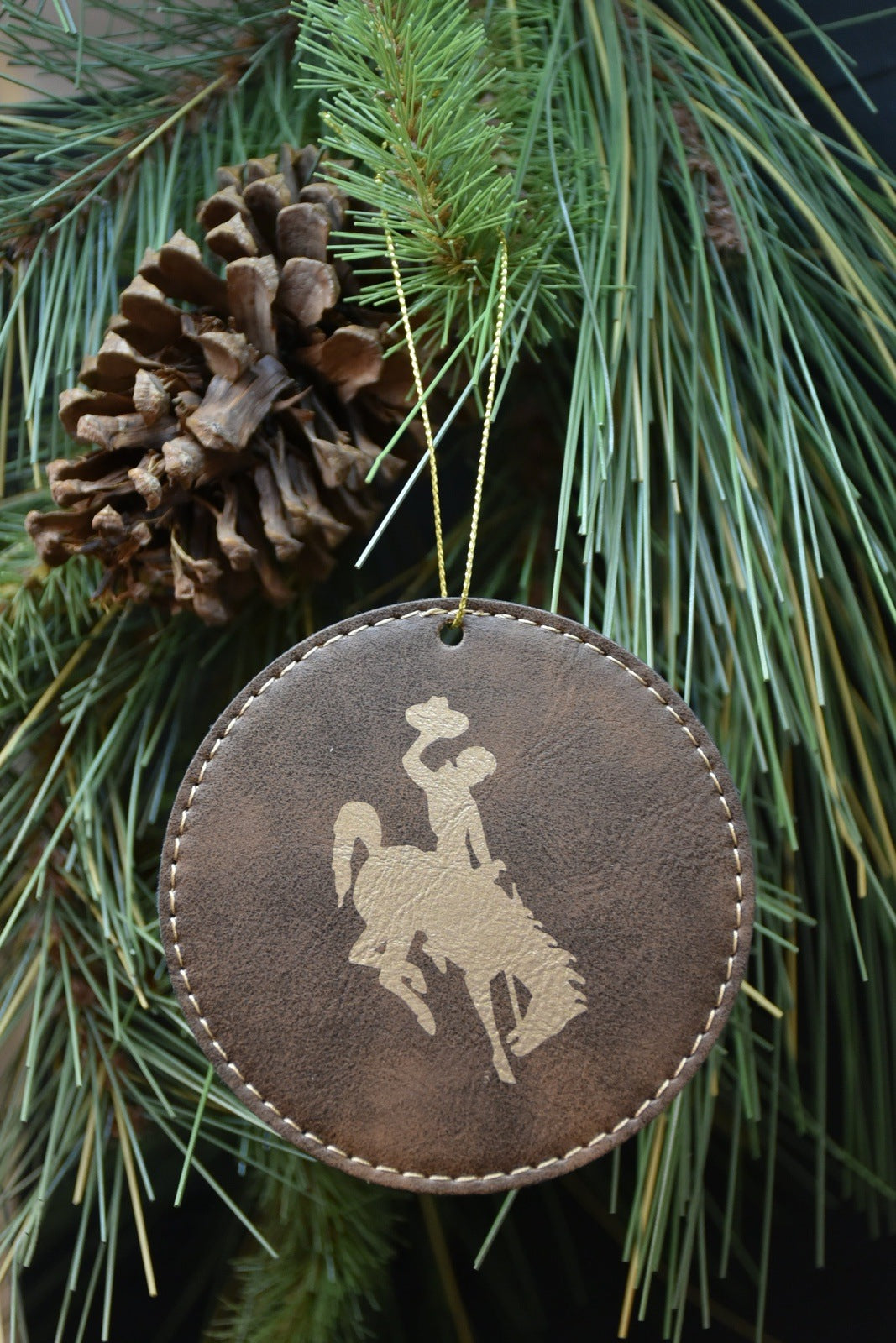 Wyoming Steamboat Ornament