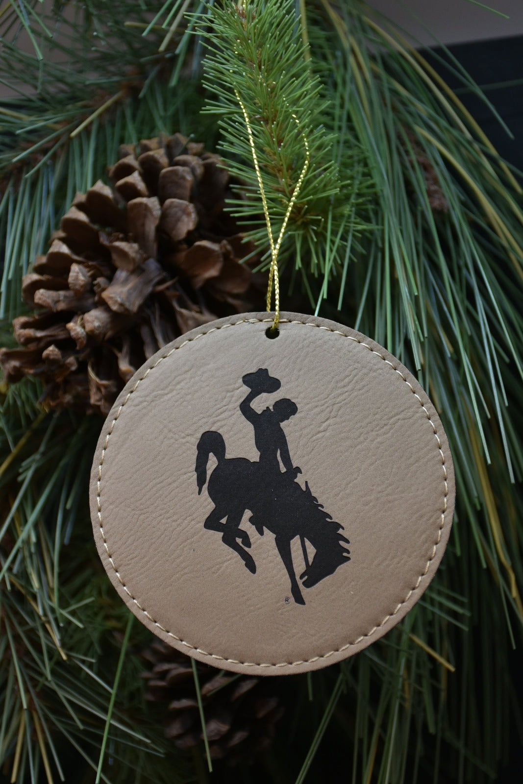 Wyoming Steamboat Ornament